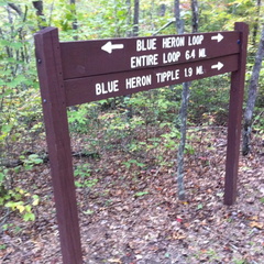 Blue Heron, Big South Fork